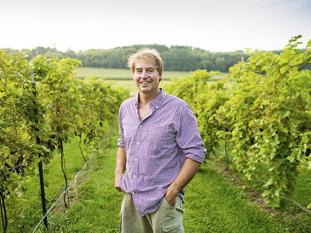 David Korb in his vineyards on River Road in the town of Westport.