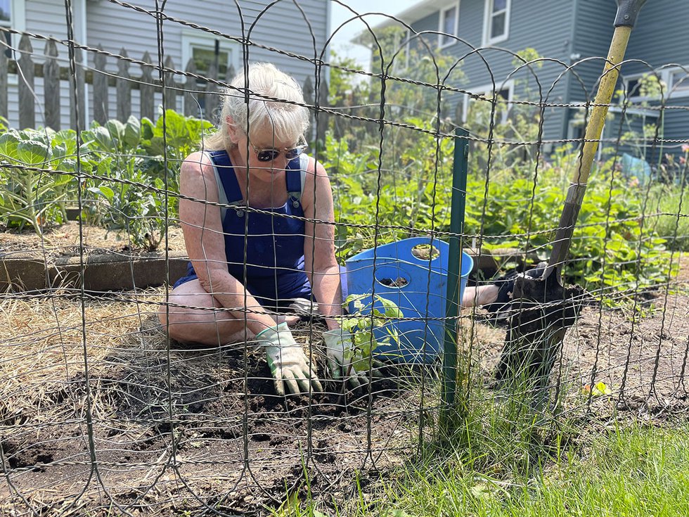 Snapshot-Greenbush-Grapevines-Kathy-Pickett_crTommyWashbush-08012024.jpg