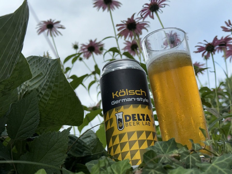 A can of Delta kölsch with a glass of the honey-colored beer amid wildflowers.