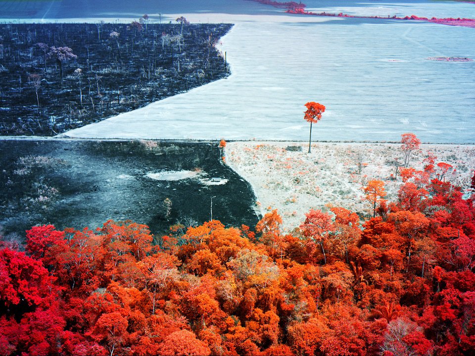 A multispectral image of a landscape.