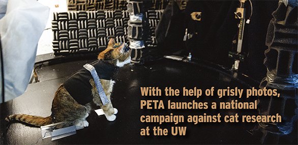 How UW-Madison lab cats became the symbols for PETA's campaign against  animal research - Isthmus | Madison, Wisconsin