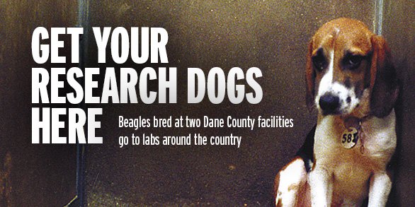 Beagle farms near sales me