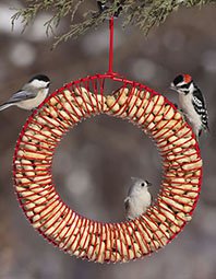 GiftsHome-BirdSeedWreath198px.jpg