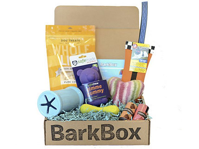 Emphasis-BarkBox-01282016.jpg