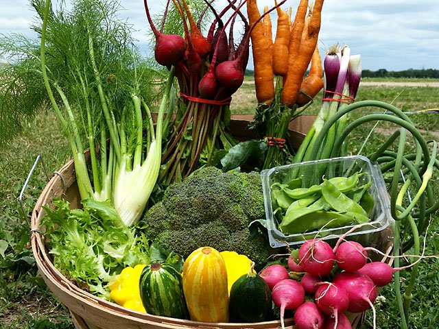 Food-Peacefully-Organic-Produce-crCrystalColon-08042016.jpg