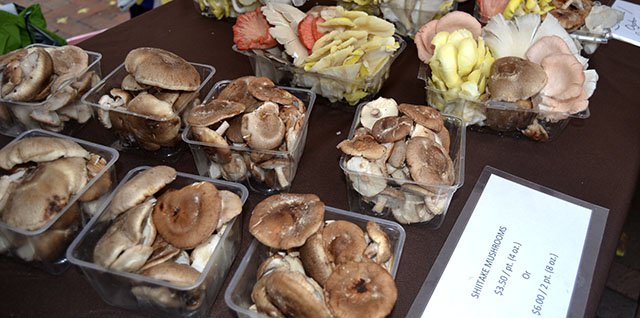 Food-mushrooms-crDylanBrogan-08152016-.jpg