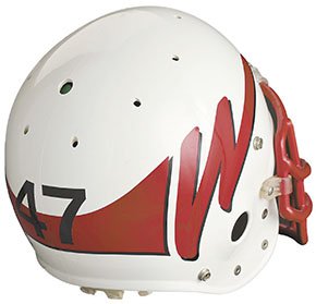 LogoStory-Helmet-Never-Was-290w-08312010
