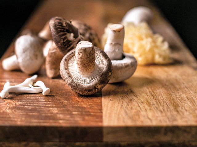 Mushrooms-TEASER-crLauraZastrow-Dining2018.jpg