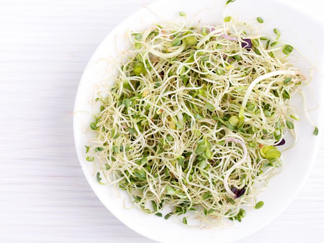 Food-News-Sprouts-04112019.jpg