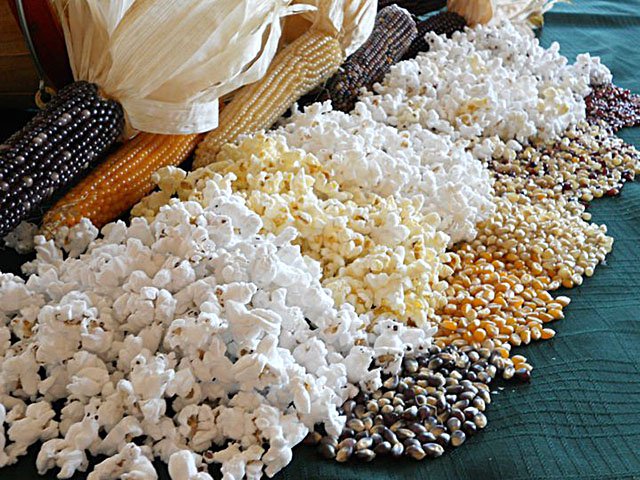 Food-Tietz-Family-Farms-Popcorn-crTietzFamilyFarms-08292019.jpg