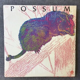vinyl-cave-possum.jpg