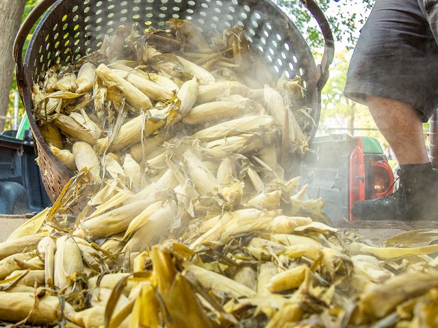 calendar-Sun-Prairie-Sweet-Corn-Festival-cr-Focal-Flame-Photography.jpg