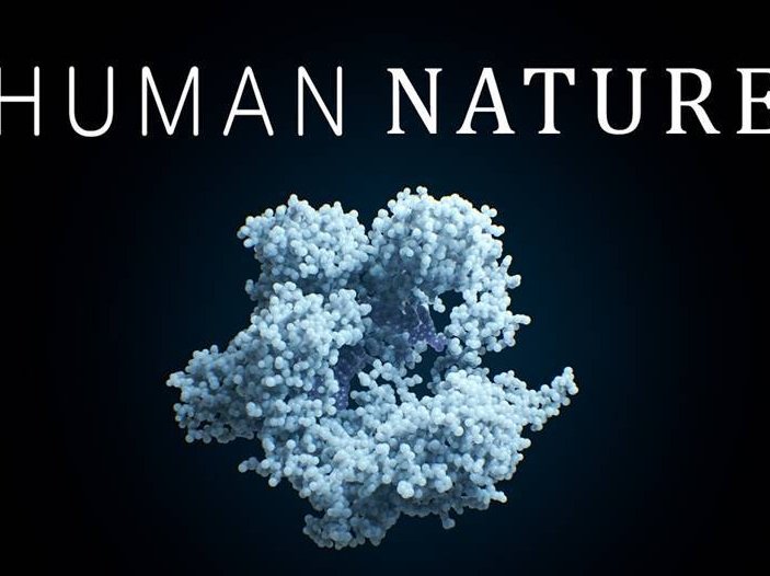 Screens-Human-Nature-9-7-2020