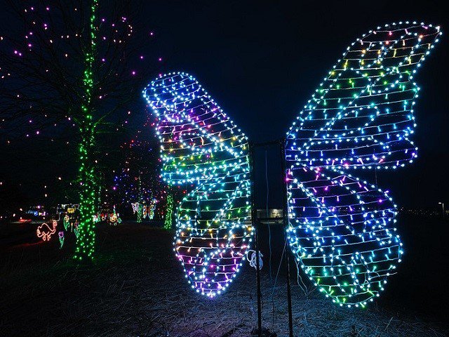 A light display of a butterfly.