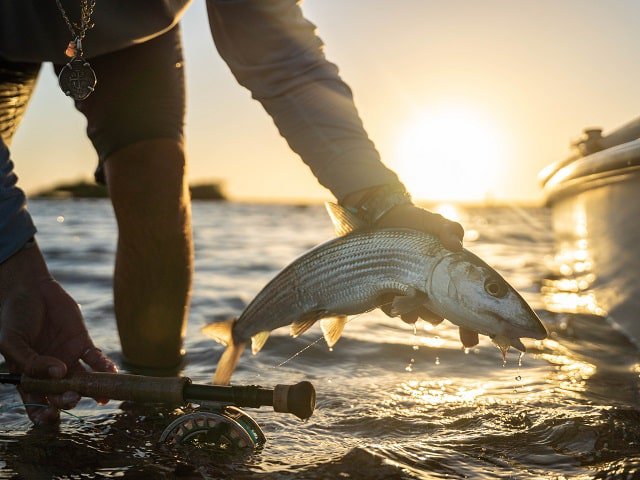 fly fishing film tour madison wi