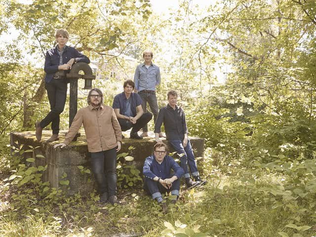 Wilco in the woods.