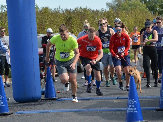 Runners and a dog during a past Dog Jog.