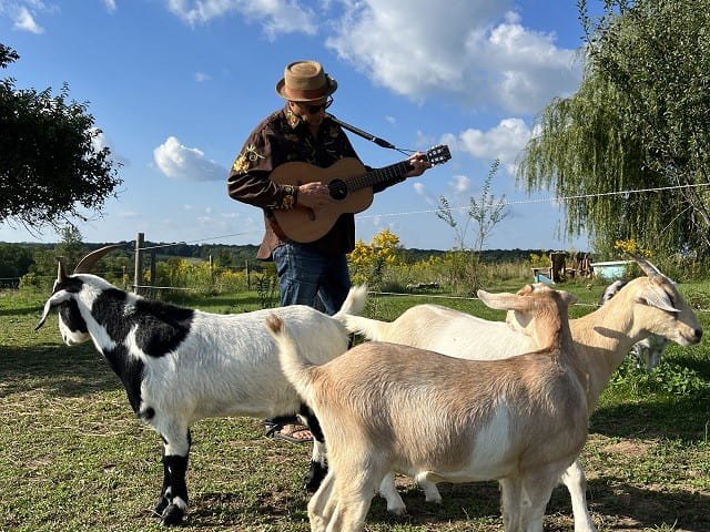 A man with a guitar and goats.
