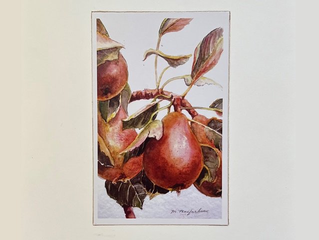 A watercolor painting of a part of a pear tree.