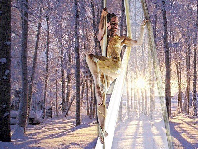 An aerial dance artist in the woods.