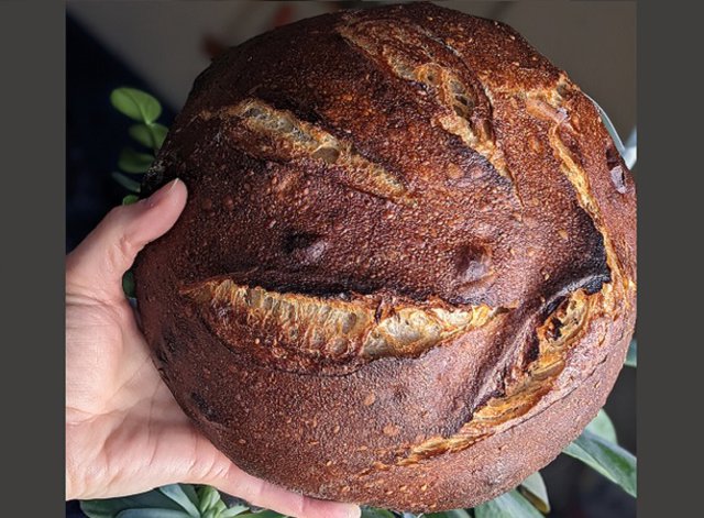 A round loaf of bread held by a hand
