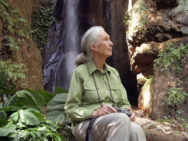 Jane Goodall in a shady spot.