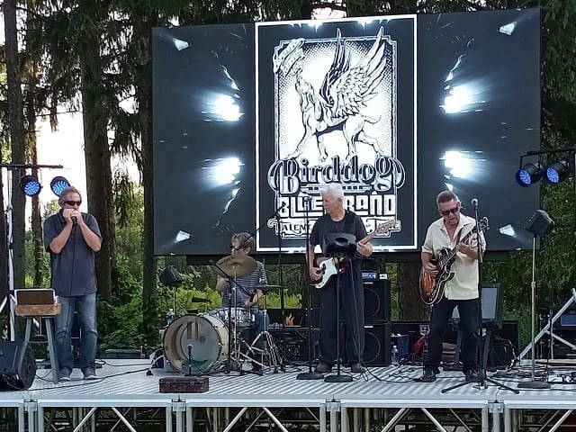 Birddog Blues Band on stage.