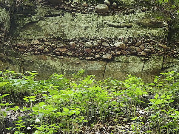 Layers of different sediment in rock.