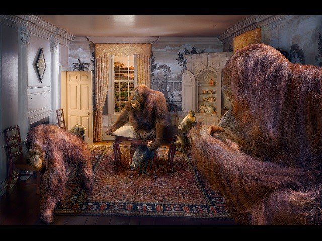 An art work depicting orangutans, monkeys and a wild boar in a dining room.