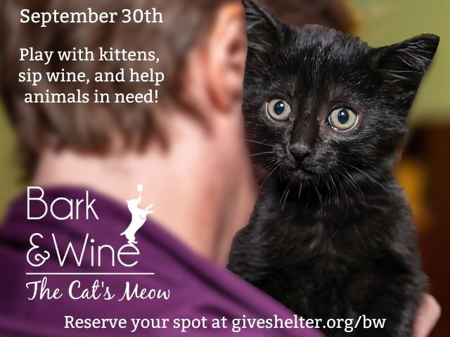 Raise a glass while helping animals at DCHS's Bark & Wine