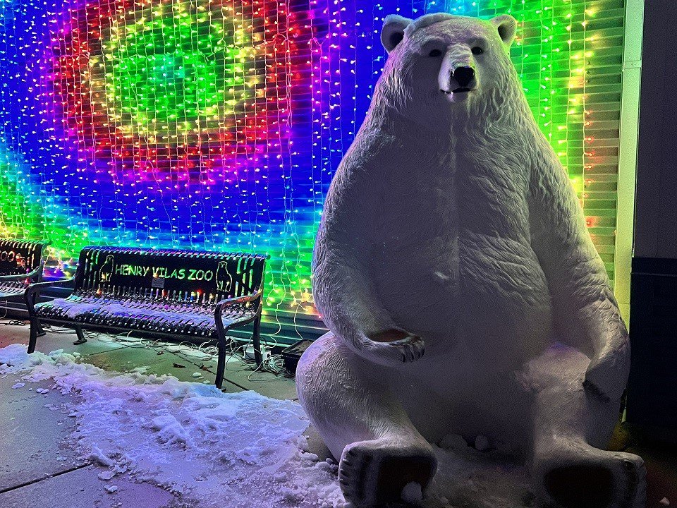 A bear statute in front of a colorful light display.