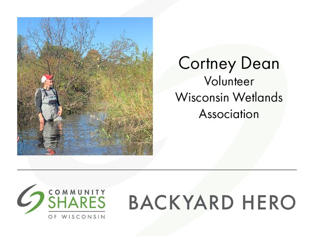 A photo of Cortney Dean, a volunteer for Wisconsin Wetlands Association, standing in a wetland. The graphic also has the Community Shares logo and the words Backyard Hero.