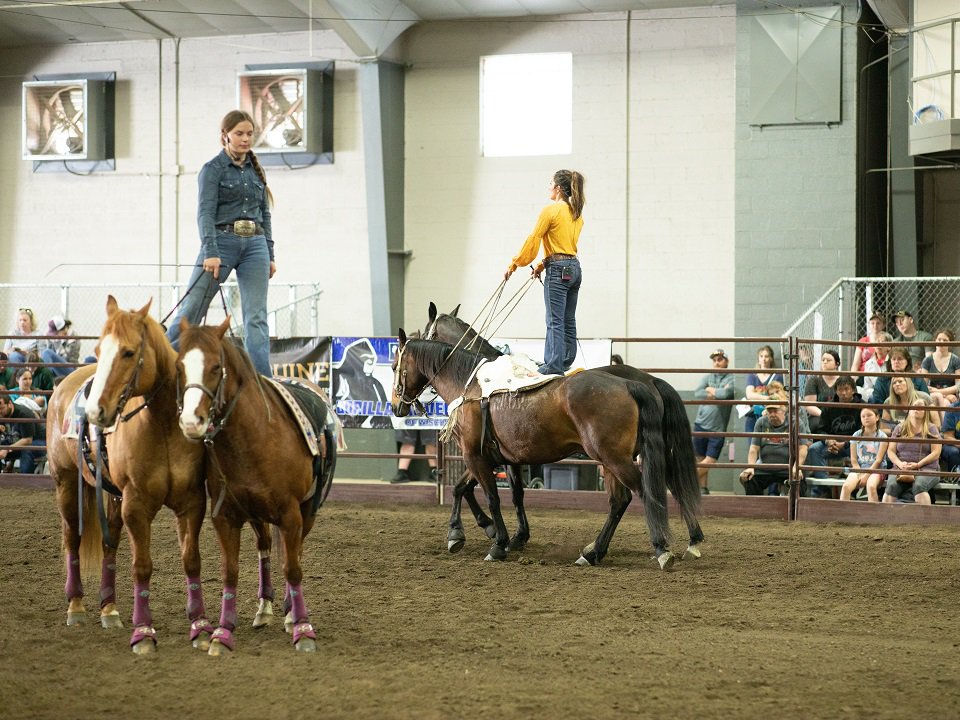 Trick riders during a past Midwest Horse Fair.