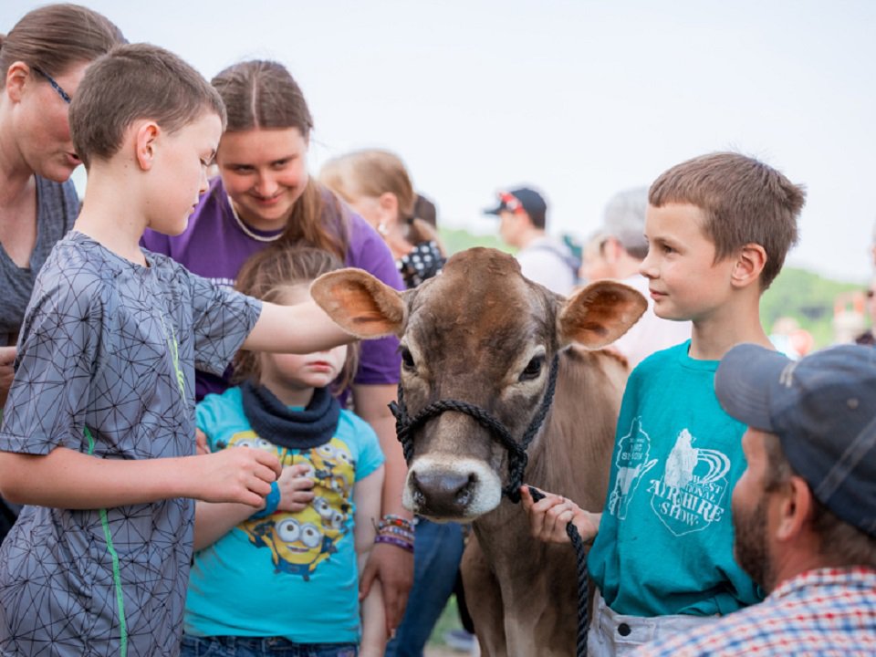 Kids and a bovine at the 2023 Dane County Breakfast on the Farm.