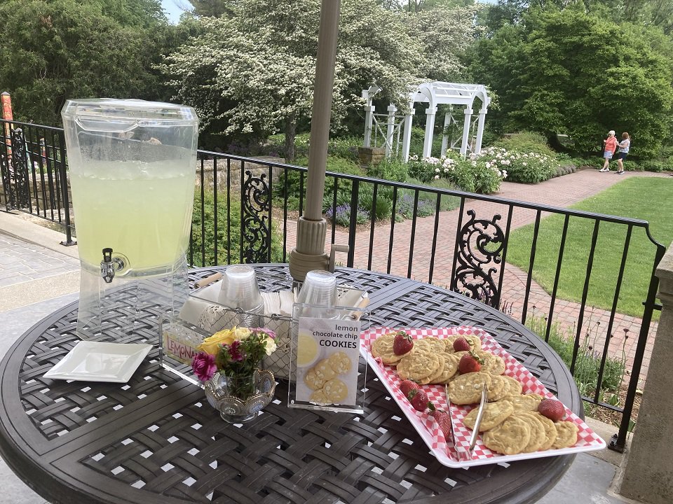 A container of lemonade, cookies, on a patio table in a garden.
