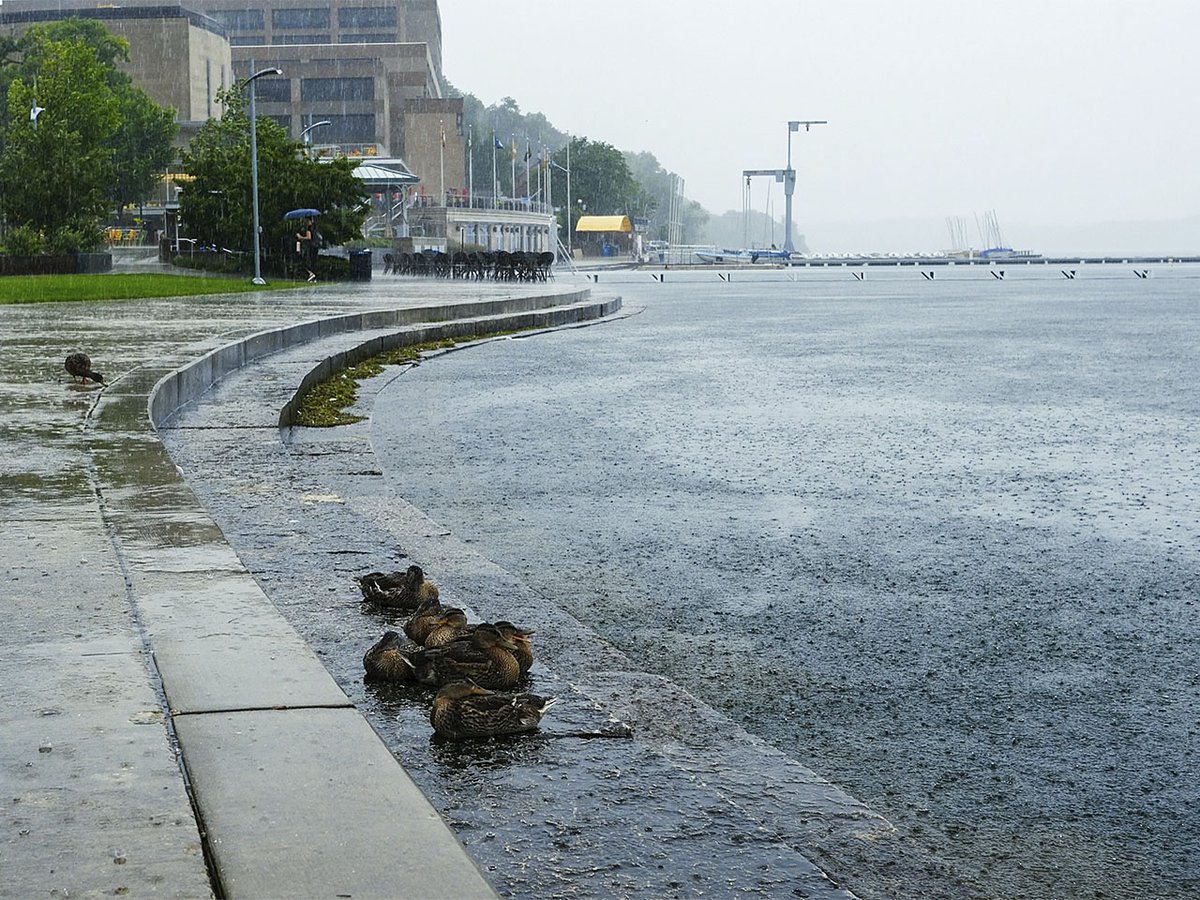 Madison watershed studies seek answers to prevent future flooding - Isthmus  | Madison, Wisconsin