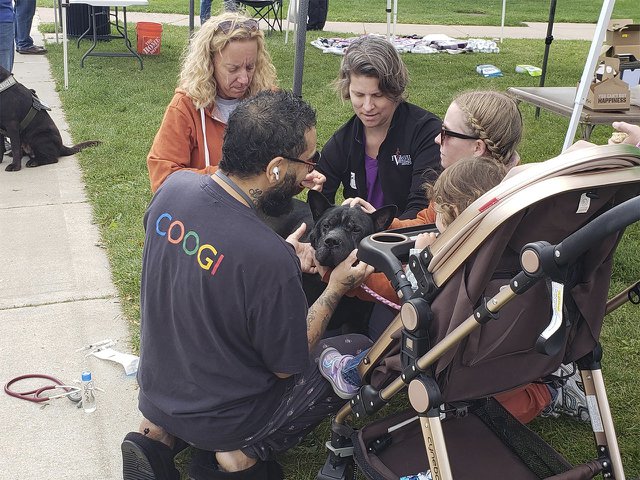 News-Street-Dog-Clinic_crUnderdogPetRescue-08062024.jpg