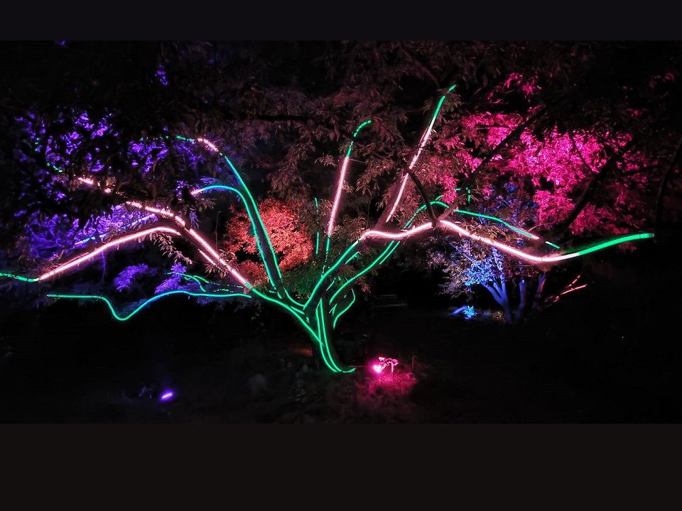 A neon tree.