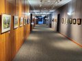 A hallway lined with paintings.