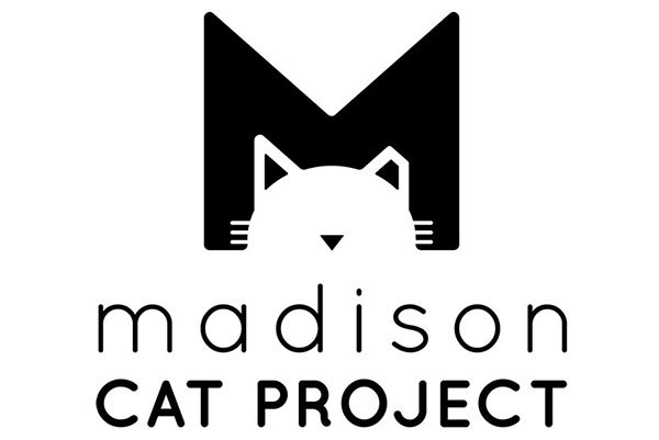 MadisonCatProject.jpg