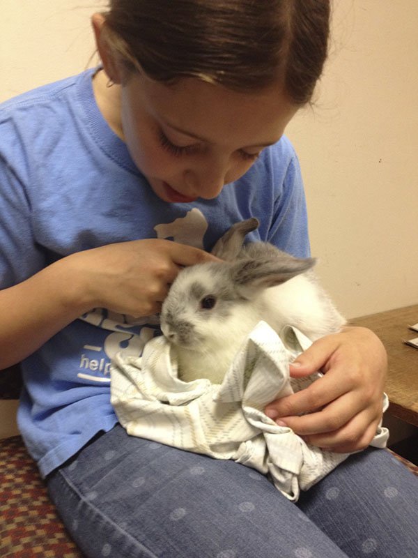 A volunteer petting a bunny at Dane County Humane Society.