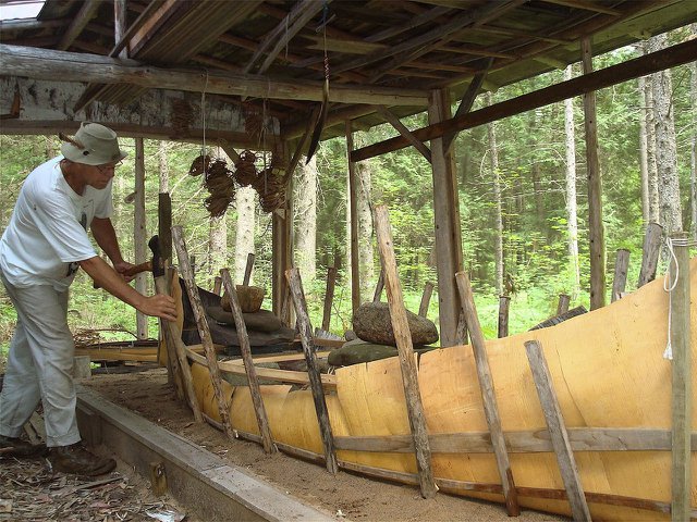 Ferdy Goode building a canoe from birch bark.