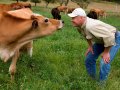 Richard Cates and a bovine friend.