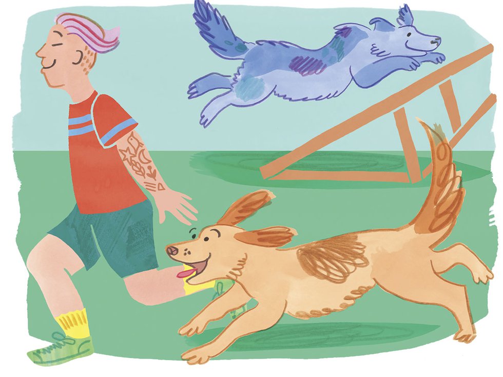 An illustration of dogs at an indoor agility course.